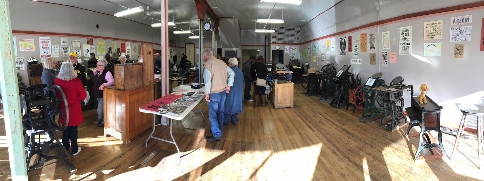 Bull Dog at Coolsprings - June 2014